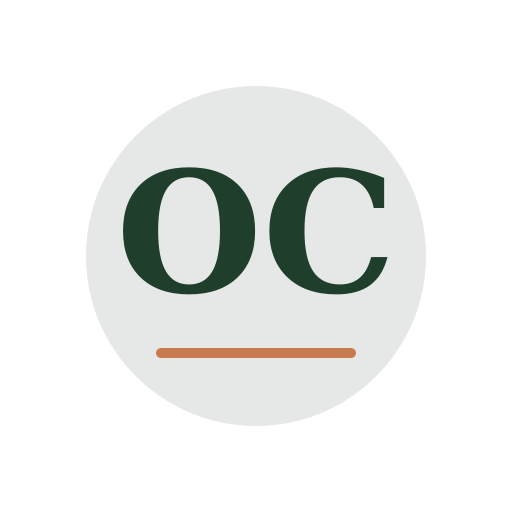 Orda Chimney Repair logo